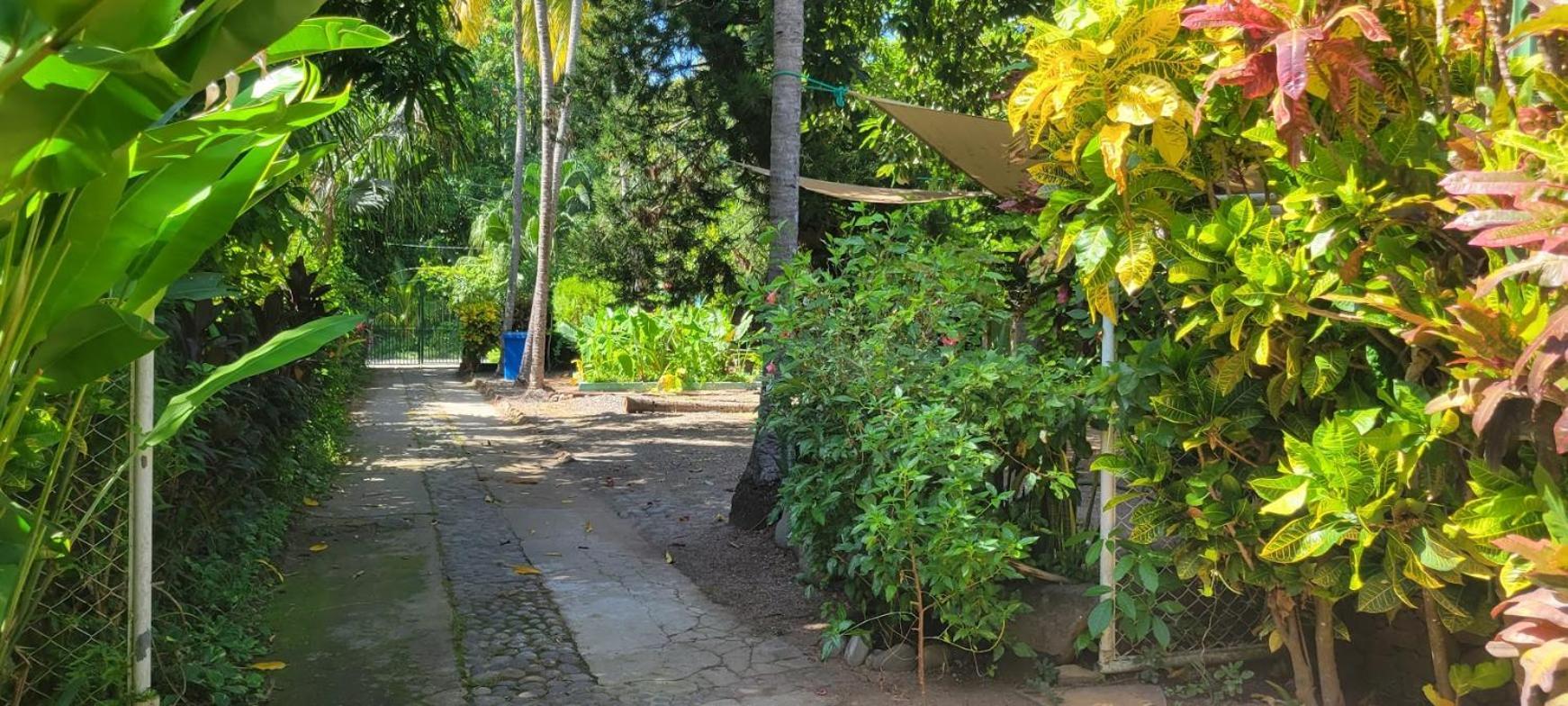 Hostal Tia Reyna El Zonte Exteriör bild